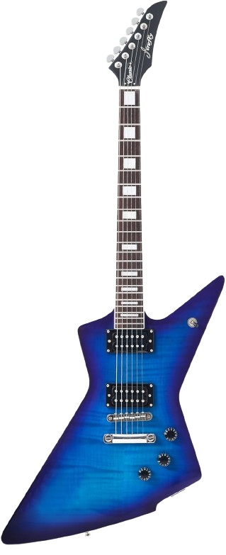 BlueBerry Finish Color Solid Body Electric Guitar with Mahogany and Rosewood by Firefly